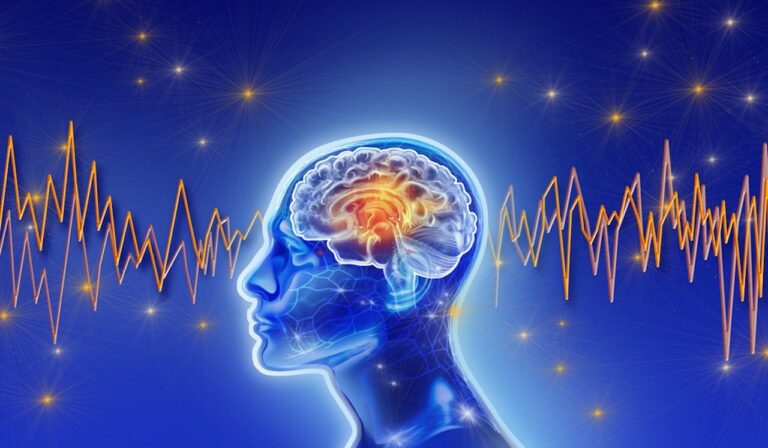 brain waves