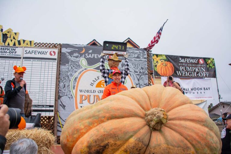 2024 HMB pumpkin weigh off winner Travis Gienger under scale readout 8507