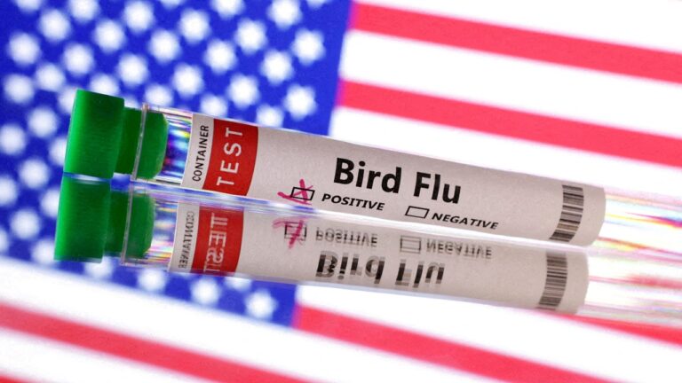 first severe case of bird flu in us