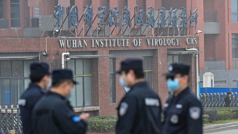 wuhan lab