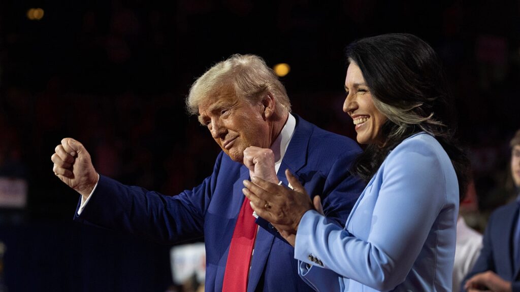 trump with tulsi gabbard