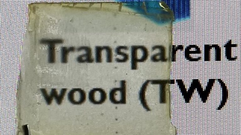 Transparent Wood