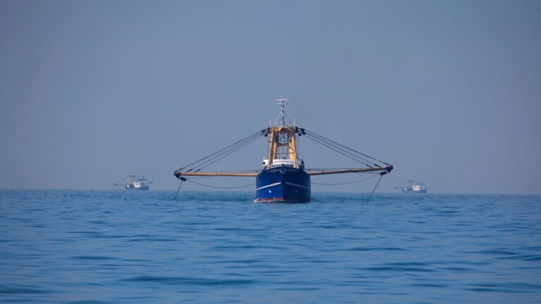 trawling ocean fishing boat climate change