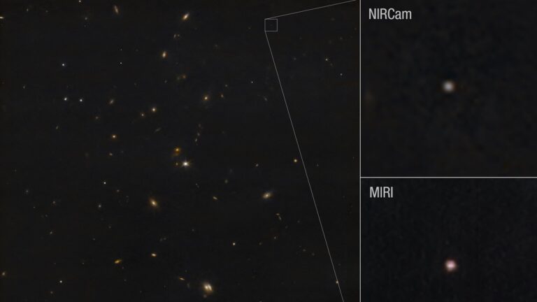 Webb snaps photographs of Asteroid 2024 YR4 pillars