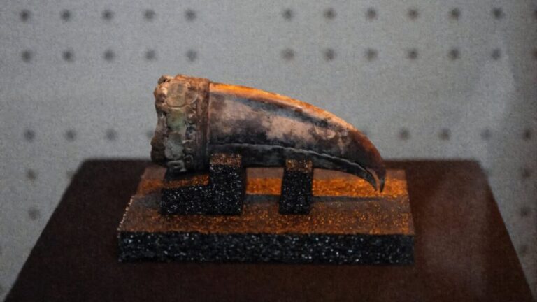 an ancient artifact fo Caral 1024x682 1