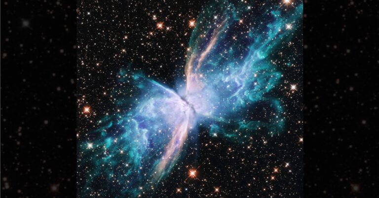 butterfly nebula