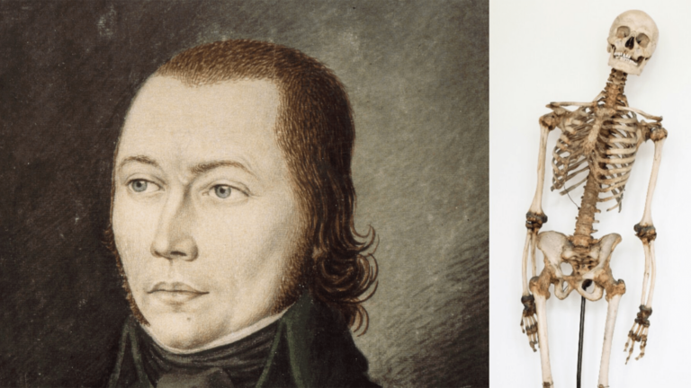 german robber remains