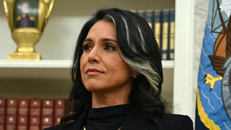 tulsi gabbard 2